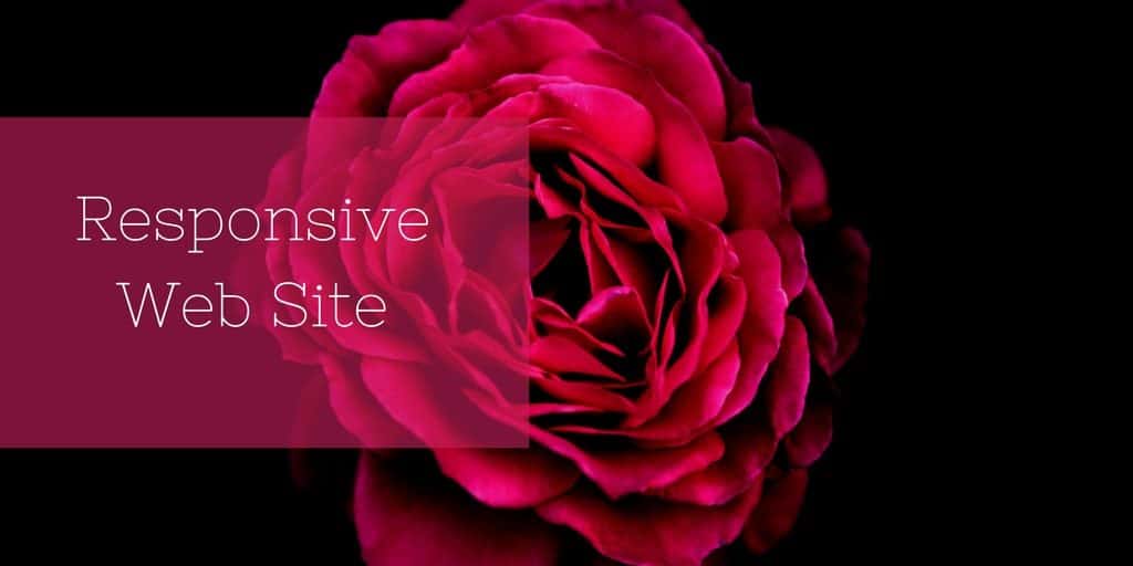 Sito web responsive per le attività B2B